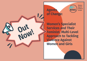 Agents of Change: Women’s Specialist Services and Their Feminist, Multi-Level Approach to Tackling Violence Against Women and Girls